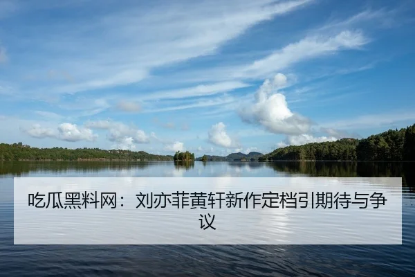 chi-gua-hei-liao-wang-liu-yi-fei-huang-xuan-xin-zuo-ding-dang-yin-qi-dai-yu-zheng-yi-2-724.jpg